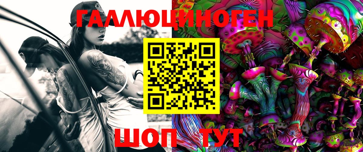 Псилоцибиновые грибы Psilocybine cubensis Кизляр