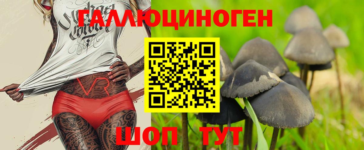 Кизляр  Псилоцибиновые грибы ЛСД  Вход с VPN 